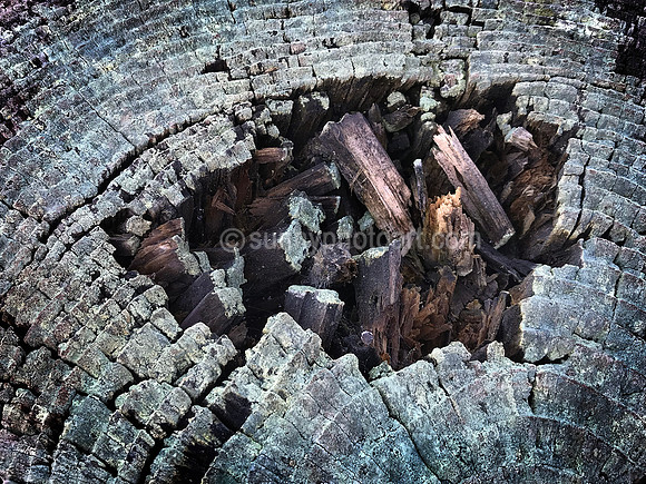 Collapsing
