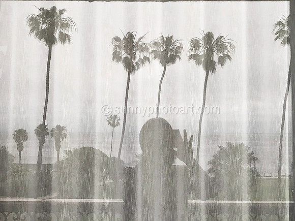 Shadow Portrait
