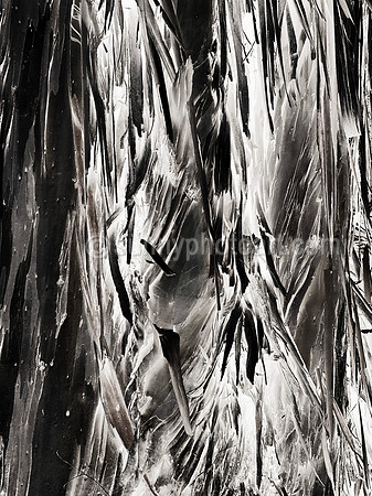 Notion No 12