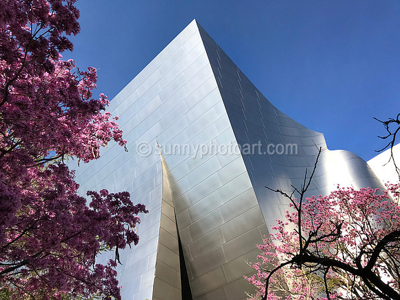 Partial View, Walt Disney Concert Hall No 3, Los Angeles, CA