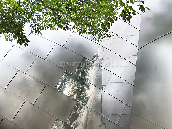 Partial View, Walt Disney Concert Hall No 5, Los Angeles, CA