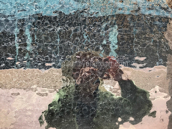 Through a Glass