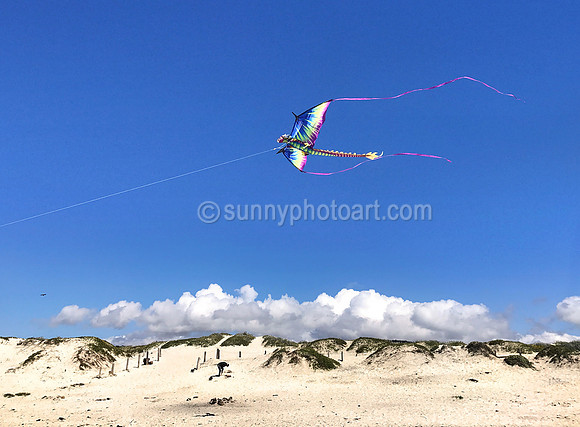 Flying Dragon