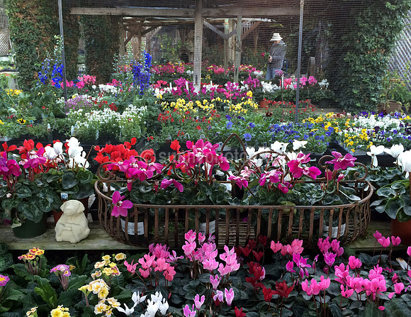 In the Nursery