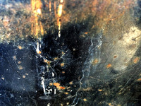 Notion  No 12