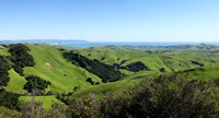 Springtime Greening California