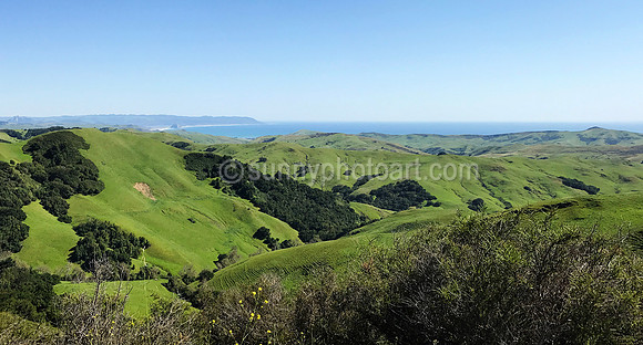 Springtime Greening California