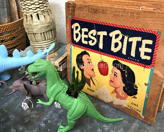 Antique Store  No 5