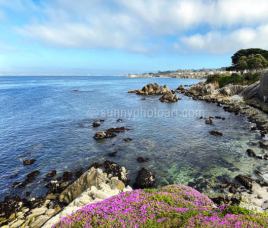 Monterey Bay in April, Monterey, CA