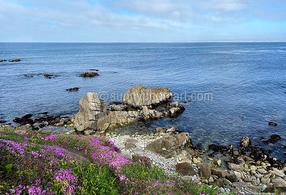 Monterey Bay No 11, Monterey, CA