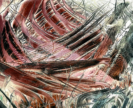 Palm Study No 3