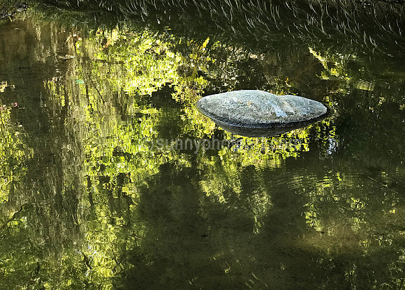Floating in Light