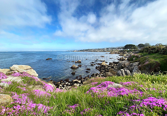 Monterey Bay No 10, Monterey, CA