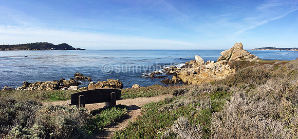 One Sunny Day, Carmel Beach, Carmel. CA