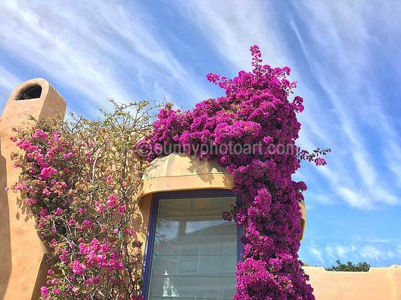 House with Bougainvillea