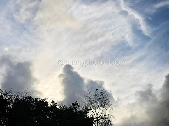 Skyscape