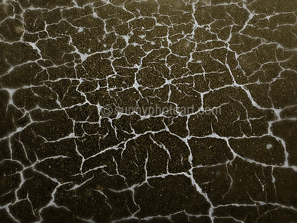Notion No 20