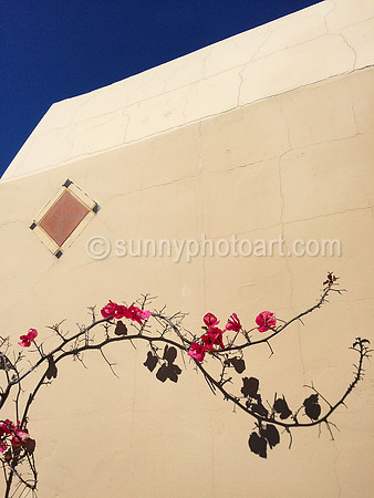 Sunny Afternoon
