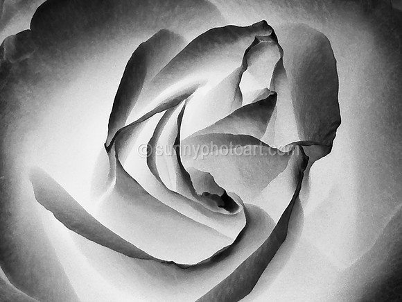 Study of Form  No 7