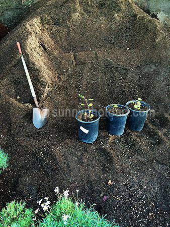 Nursery