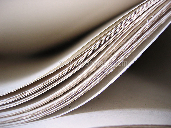 Paper Study No 2