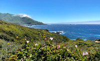 Scene No 5, Pacific Coast Hightway 1, CA