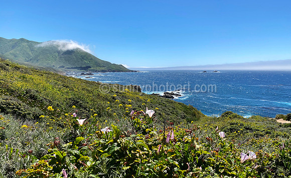 Scene No 5, Pacific Coast Hightway 1, CA