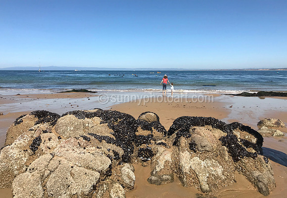 Beach Story No 15