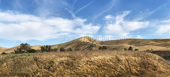 Wild Grass Land near San Luis Reservoir, CA