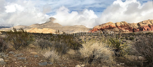 Red Rock Canyon No 6, NV