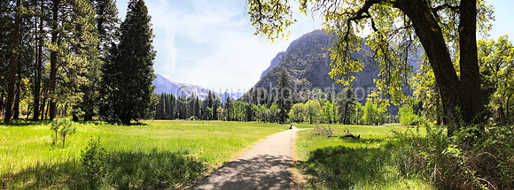 Walk through Yosemite Valley, CA