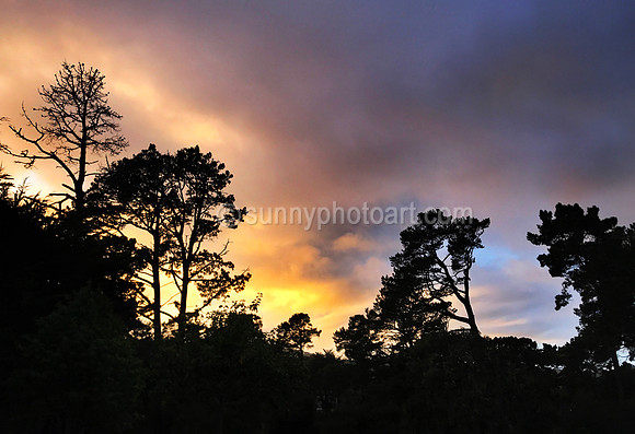 Sunset Sky