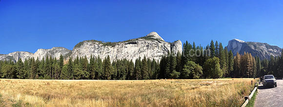 Meadow Walk in Yosemite Valley, CA