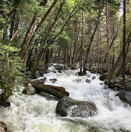 Merced River, Yosemite National Park, CA