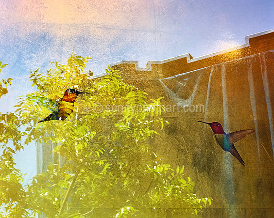 Shop Window Reflections