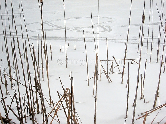 Love in Winter