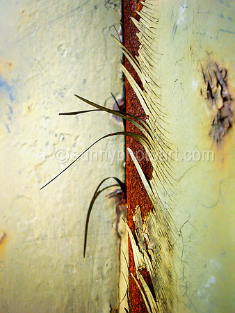 Peeling