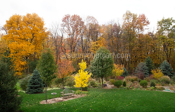 Autumn Scene