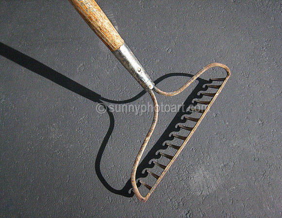 Raking Own Shadow