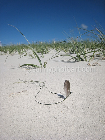 Beach Story  No 15