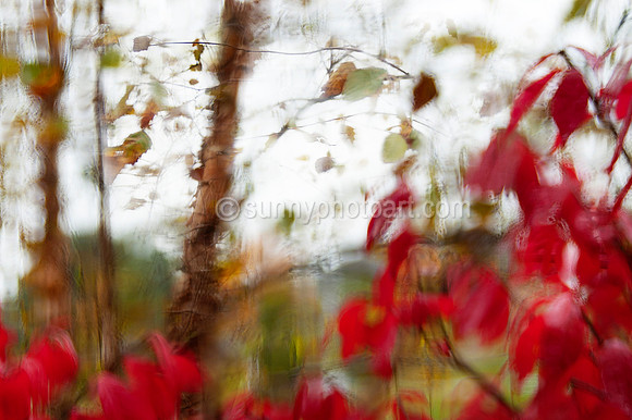 Autumnal