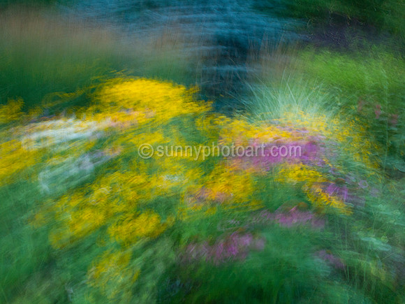 Summer Garden