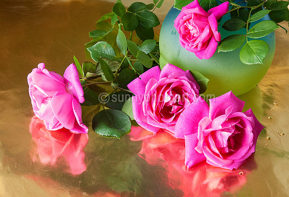 Life in Pink