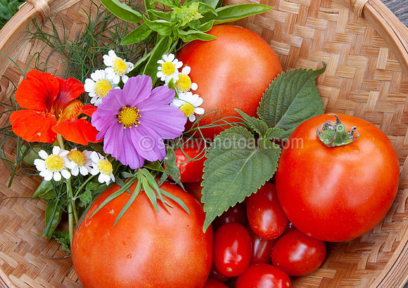 Gift from Garden