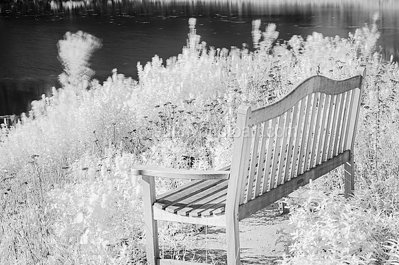 Moments Lingering