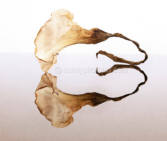 Mirror No 2