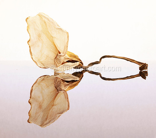 Mirror No 3