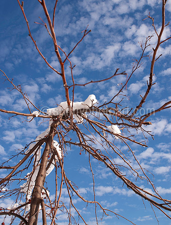 Winter Story No 19