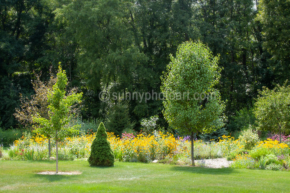 Garden in July