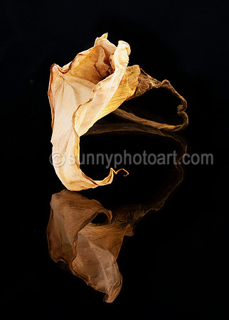 Mirror No 4